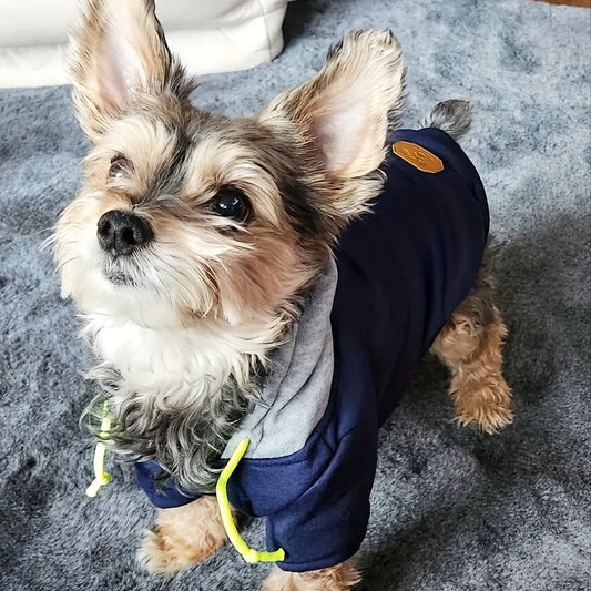 Navy Blue Dog Hoodie with Gray Hood & Neon Drawstrings