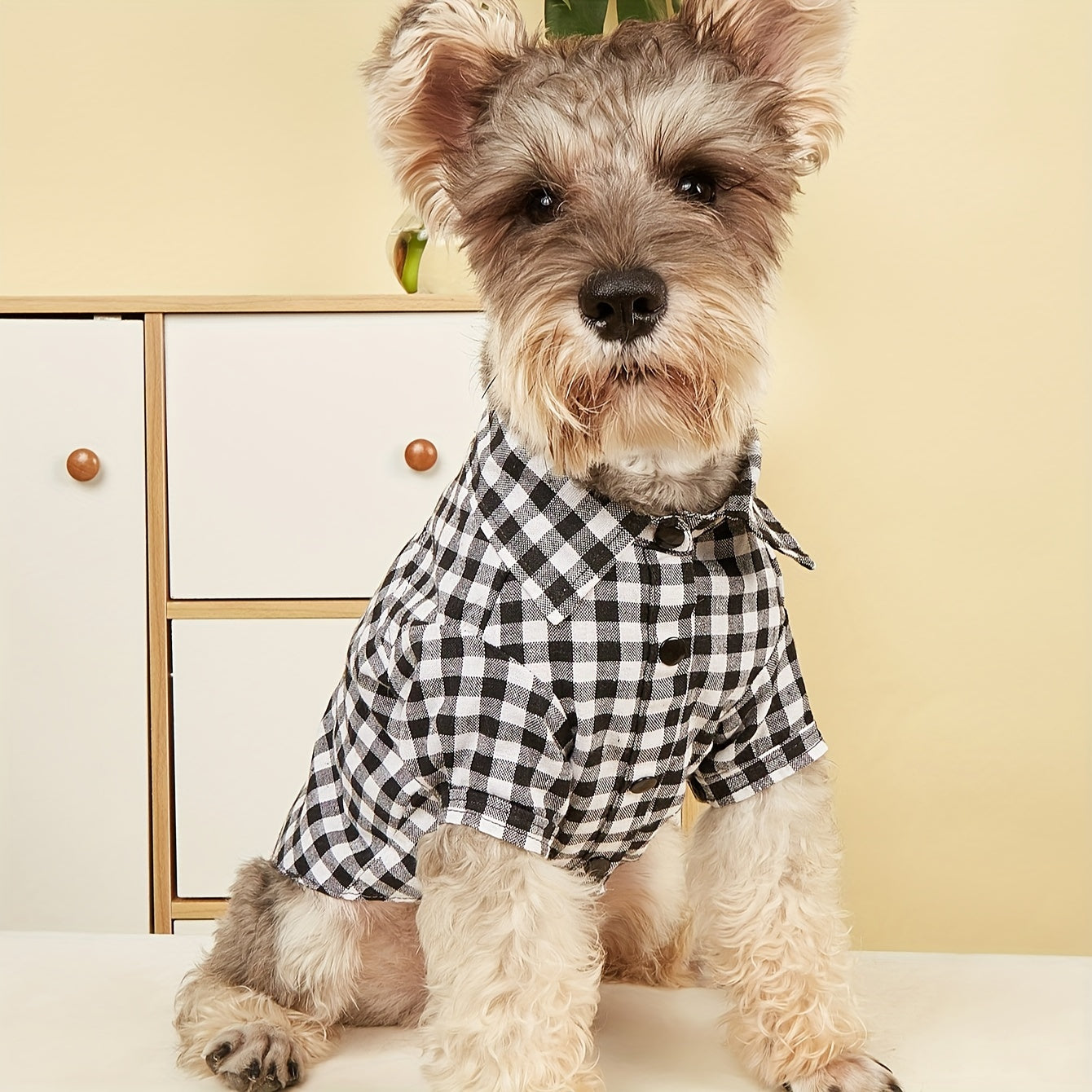 1pc Pet Clothes, Dog Plaid Shirt, Pet Jacket, Puppy Coat, Pet Button Shirt