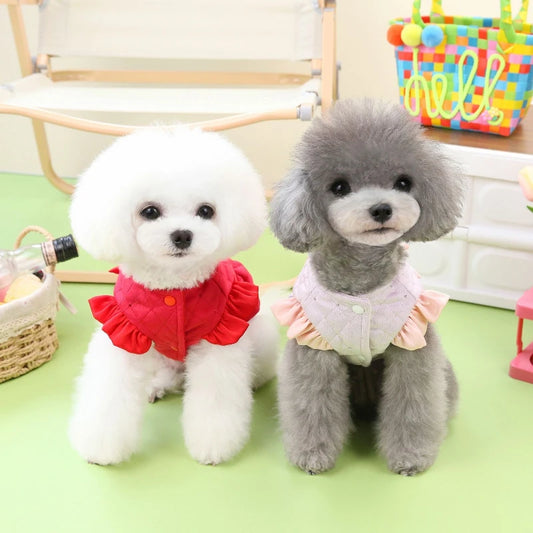 Pet Clothes Autumn/Winter New Cute Cat Clothes Sweet Cotton Skirt Teddy Bear Small Dog Cotton Clothes Chihuahua Pet Supplies