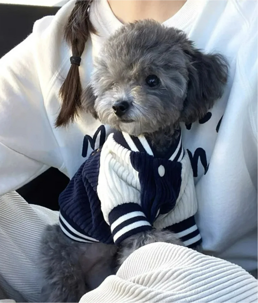 Cute Embroidered Pet Baseball Jackets Dog Clothes For Small Medium Cat Teddy Coat Puppy Spring Clothes Warm Fashion Pet Outfit