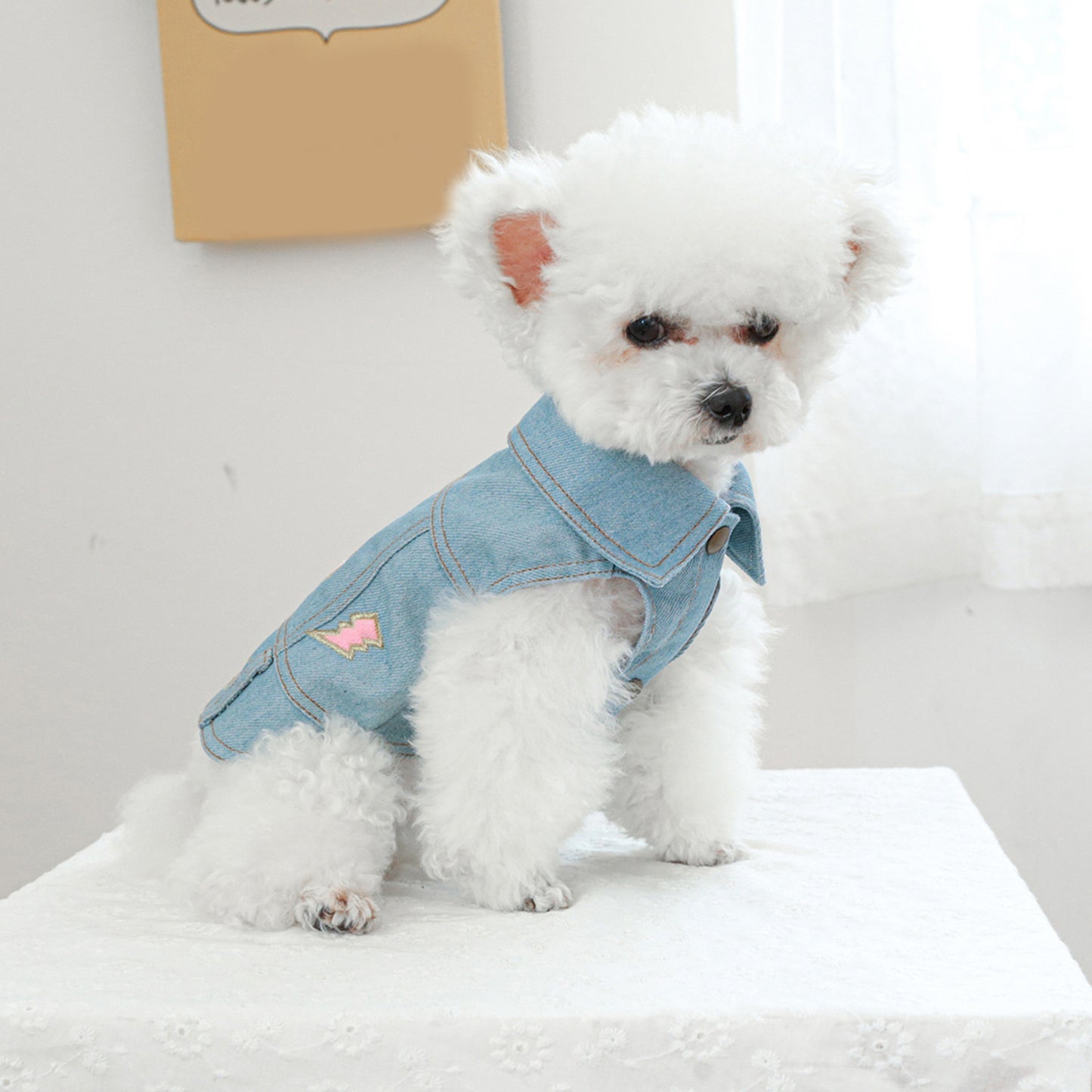 Denim Dog Jacket with Letter and Star Design, Jean Vest Style Pet Clothes for Small Dogs and Cats, Polyester, Pullover, Pet Clothes, D-Ring