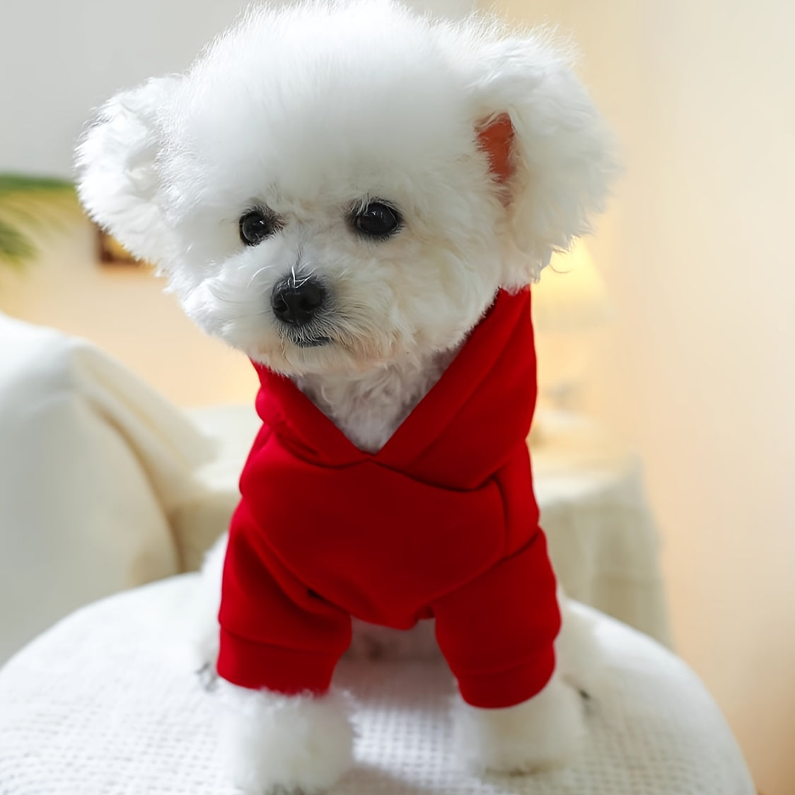 [Comfortable Style] Modern Family Sweatshirt - Red Hoodie for Small Dog Breeds - Autumn and Winter Comfortable Pet Clothes for Puppies, Cats, and Kittens