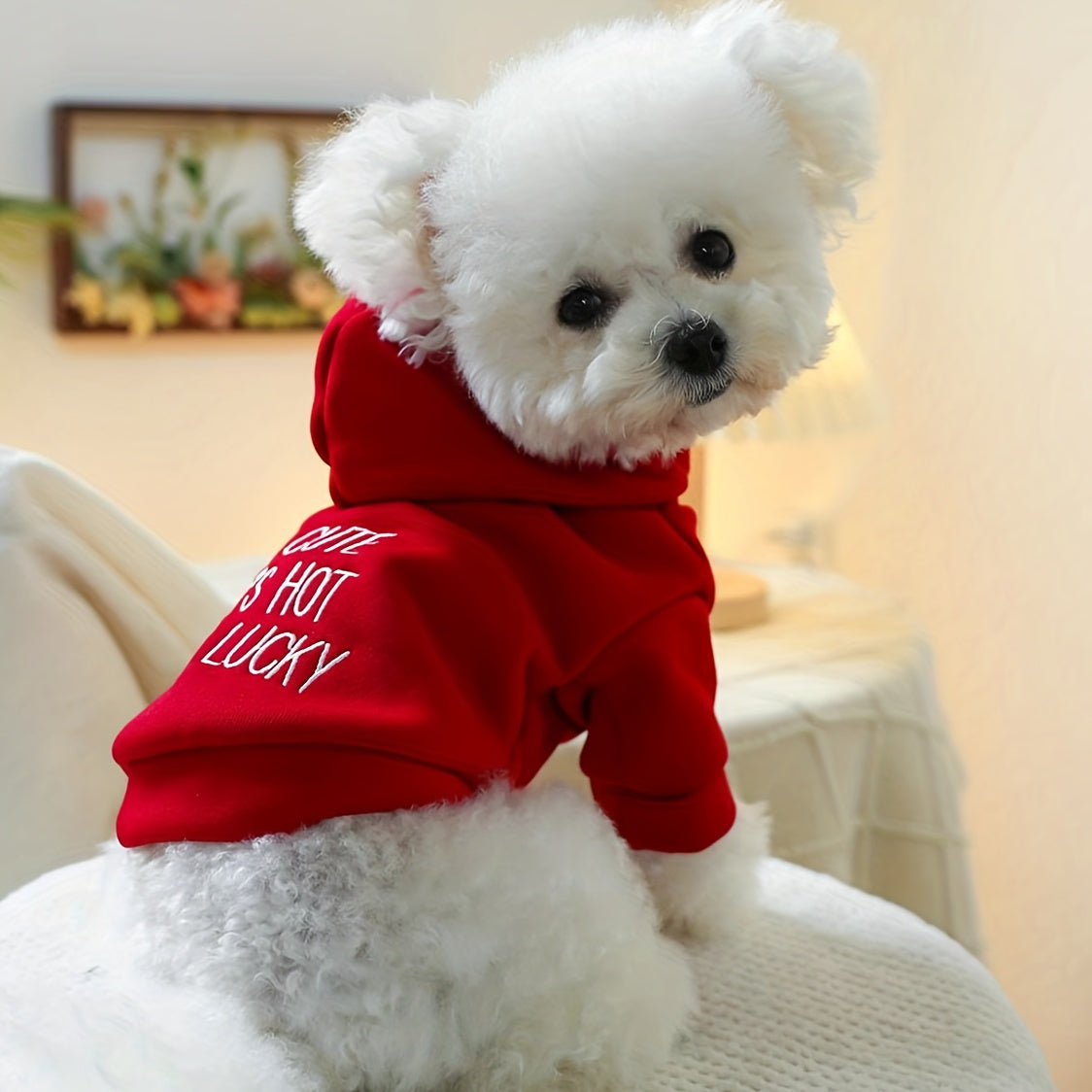 [Comfortable Style] Modern Family Sweatshirt - Red Hoodie for Small Dog Breeds - Autumn and Winter Comfortable Pet Clothes for Puppies, Cats, and Kittens