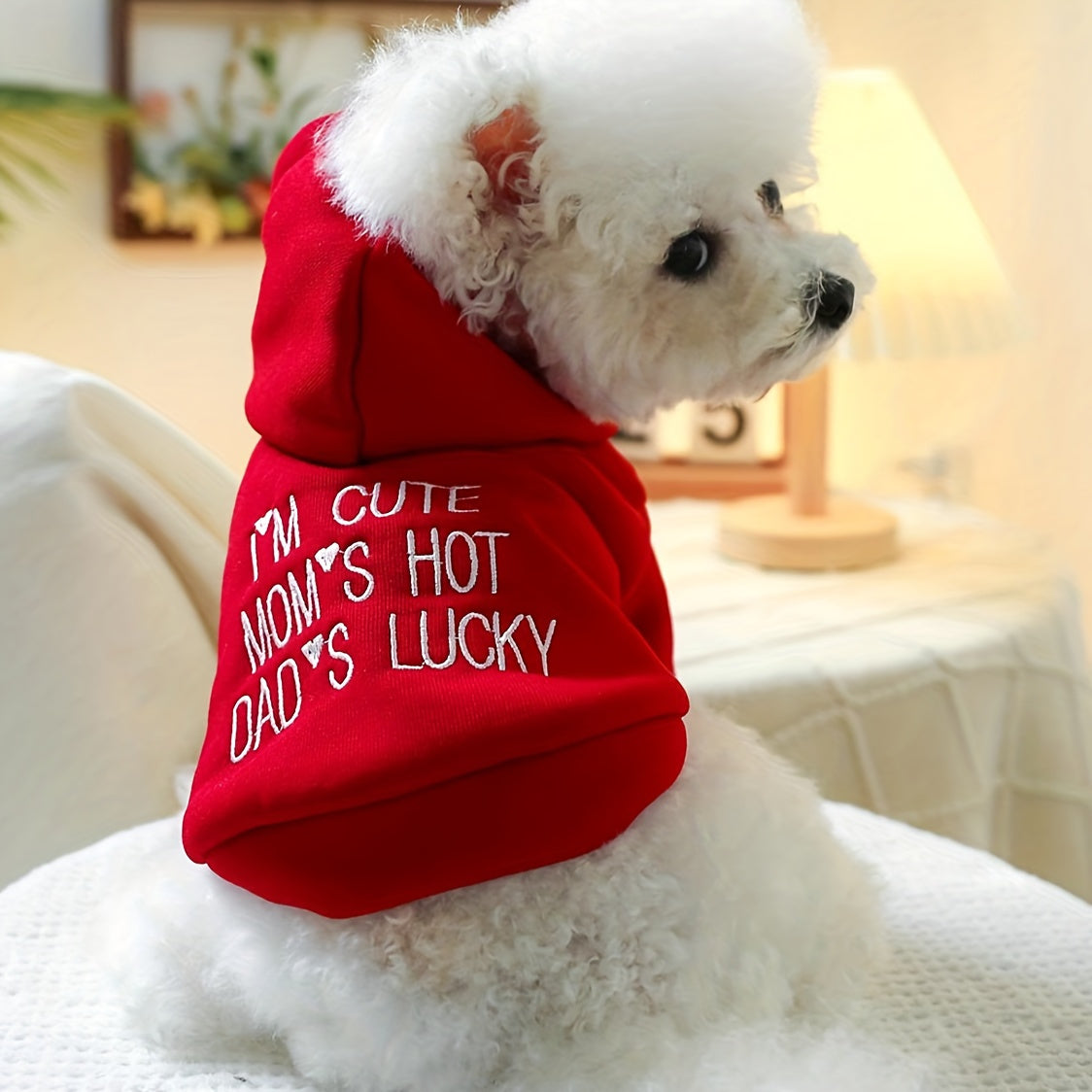 [Comfortable Style] Modern Family Sweatshirt - Red Hoodie for Small Dog Breeds - Autumn and Winter Comfortable Pet Clothes for Puppies, Cats, and Kittens