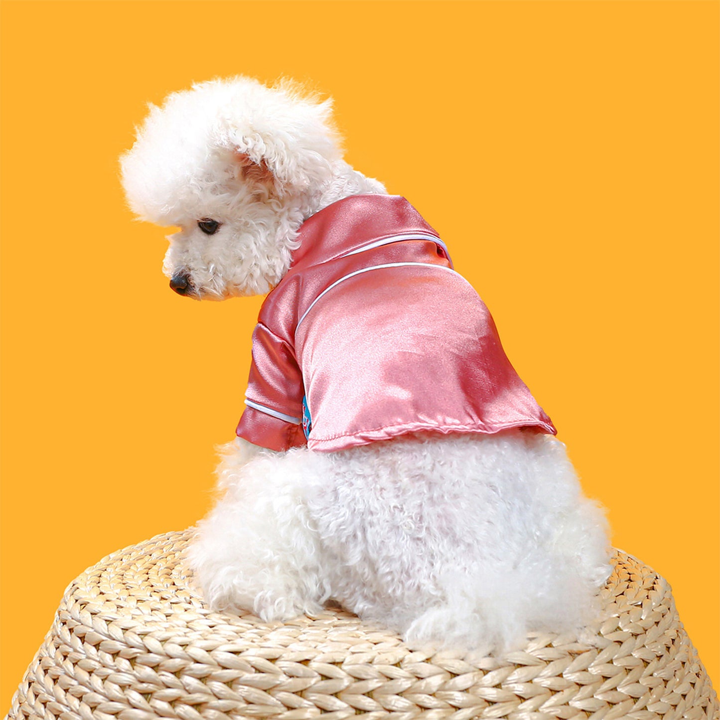Dog Pajama Contrast Trim Snap On Cat Pajamas Pet Pjs Pet Clothes for Small Dog Cats
