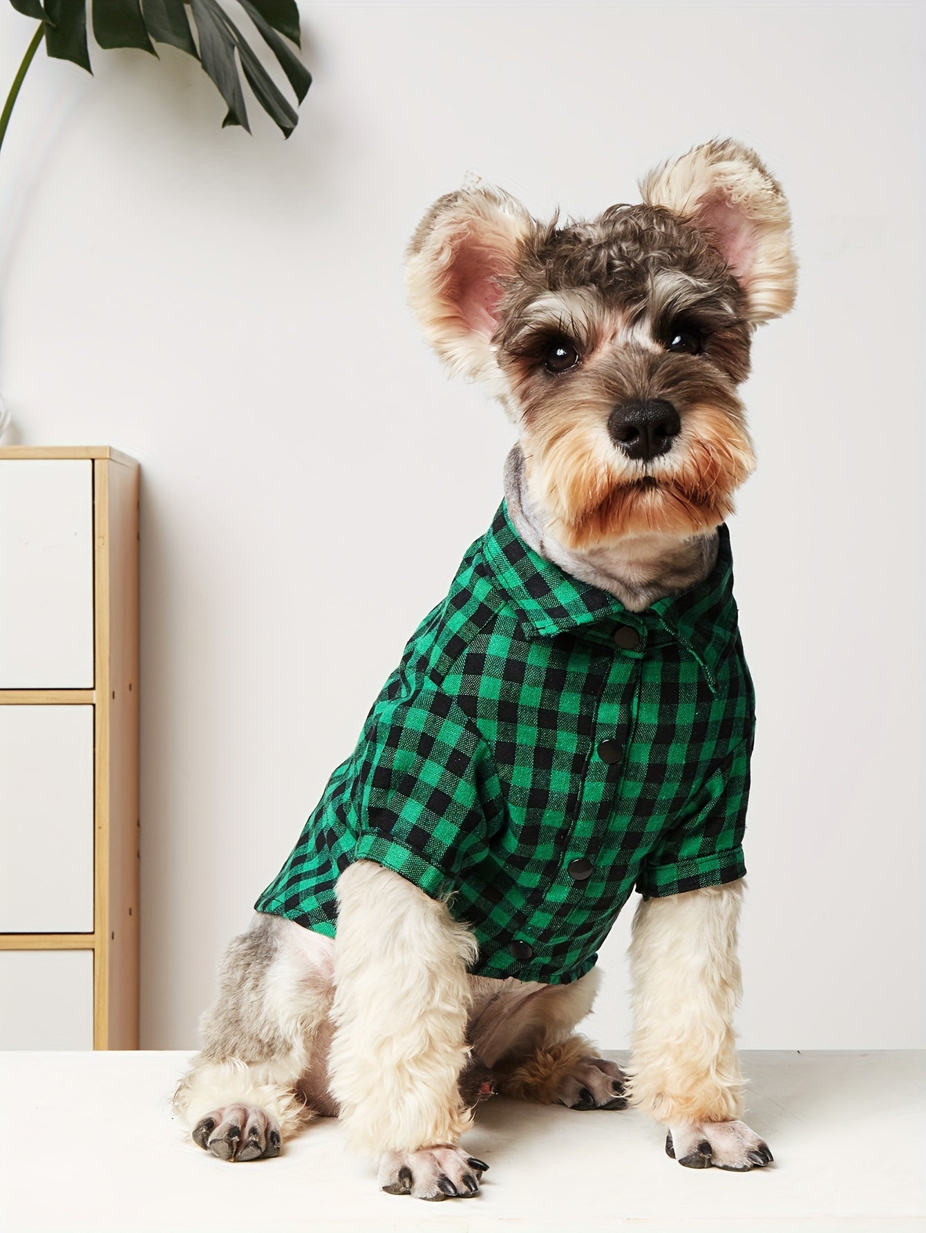1pc Pet Clothes, Dog Plaid Shirt, Pet Jacket, Puppy Coat, Pet Button Shirt