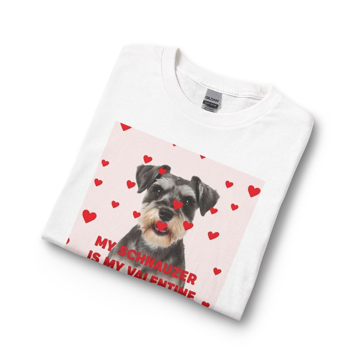 Schnauzer Is My Valentine Long Sleeve Tee