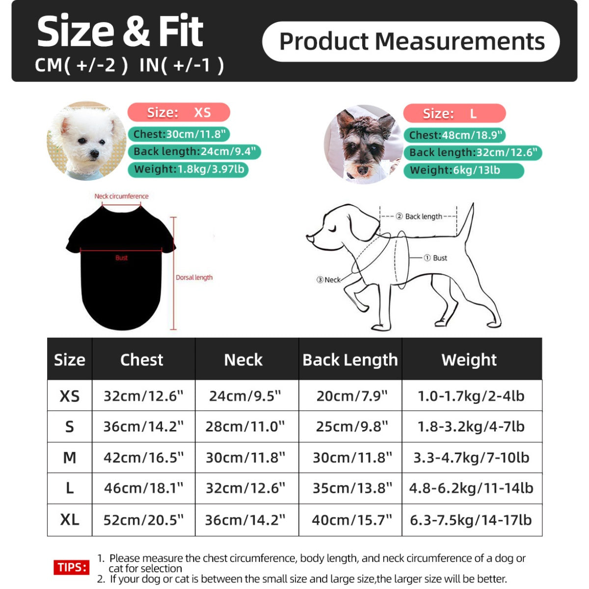 Pet Clothes for Dogs and Cats - Stylish, Comfortable, Easy-to-Wear Snap-On Outfit with Green Hat & White Fashion Glasses for Small Puppies and Kittens, Perfect for Outdoor Adventures, Car Dashboard Accessorie, Car Accessorie