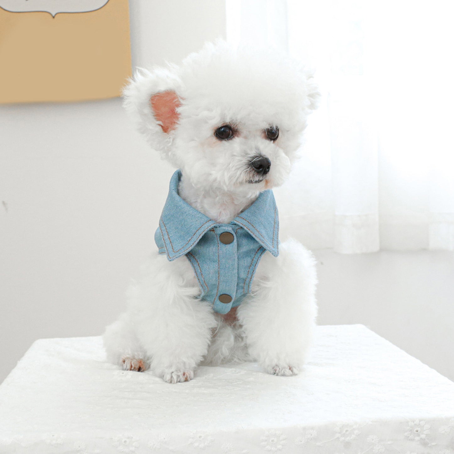 Denim Dog Jacket with Letter and Star Design, Jean Vest Style Pet Clothes for Small Dogs and Cats, Polyester, Pullover, Pet Clothes, D-Ring