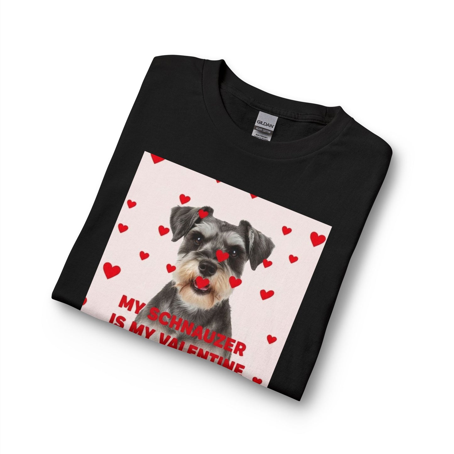 Schnauzer Is My Valentine Long Sleeve Tee