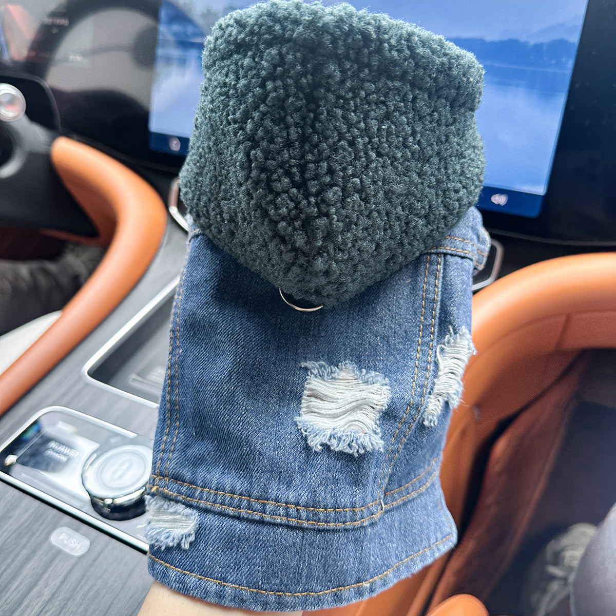 Pet Clothes for Dogs and Cats - Stylish, Comfortable, Easy-to-Wear Snap-On Outfit with Green Hat & White Fashion Glasses for Small Puppies and Kittens, Perfect for Outdoor Adventures, Car Dashboard Accessorie, Car Accessorie