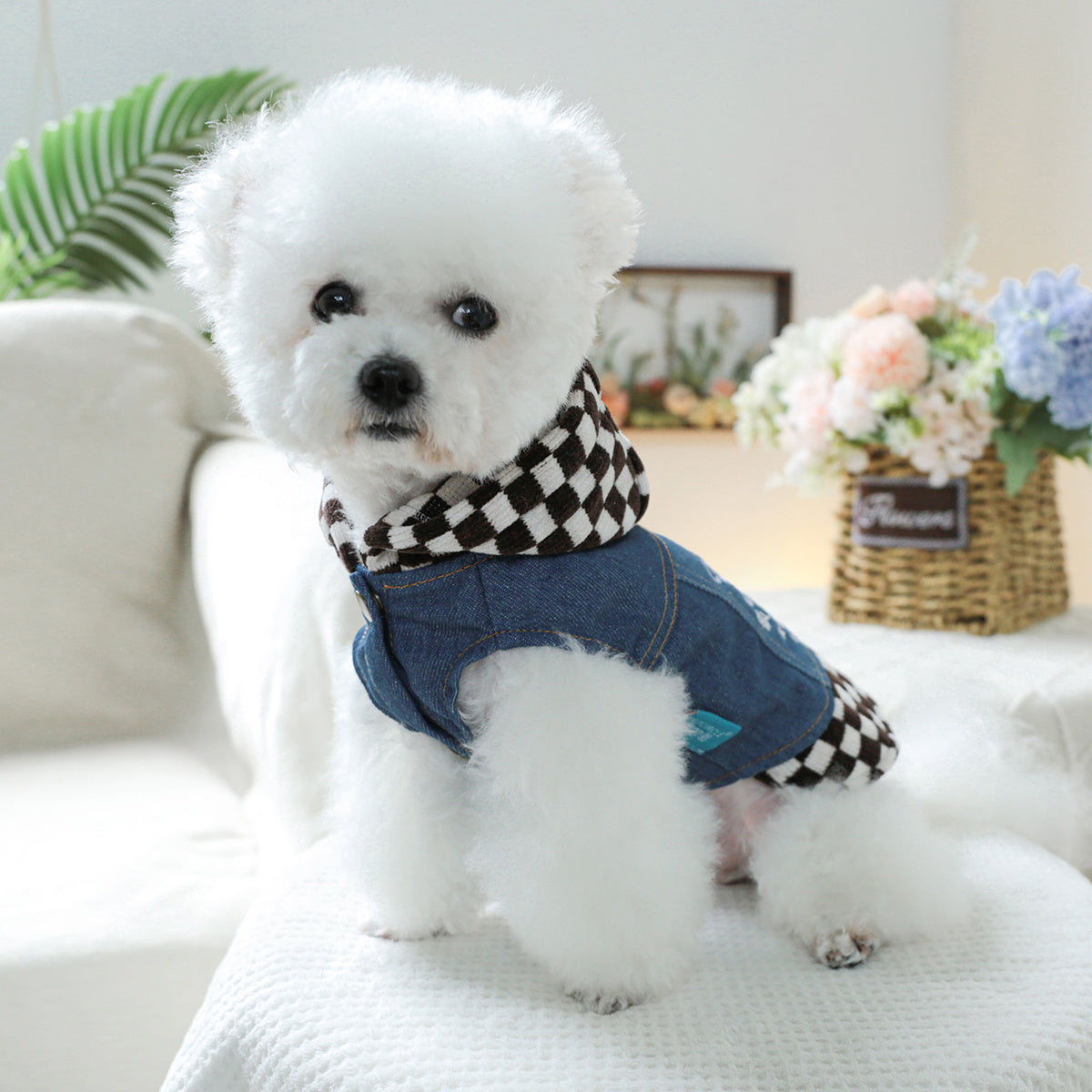 Plaid Star Faux Denim Dog & Cat Outfit - Brown & White Checkered Pet Clothes with "Super Star" Embroidery, Snap Button Closure, Casual Fashion for Small Dogs & Cats, Stylish Outdoor Wear, Dog Clothes, Playful Pet Apparel, Dur