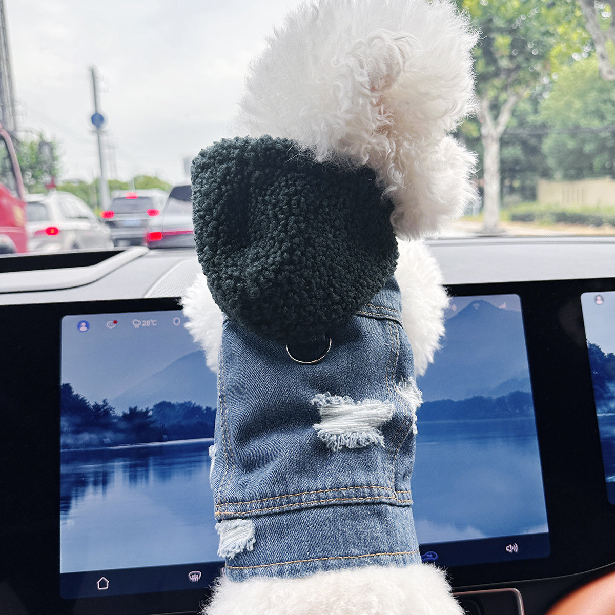 Pet Clothes for Dogs and Cats - Stylish, Comfortable, Easy-to-Wear Snap-On Outfit with Green Hat & White Fashion Glasses for Small Puppies and Kittens, Perfect for Outdoor Adventures, Car Dashboard Accessorie, Car Accessorie