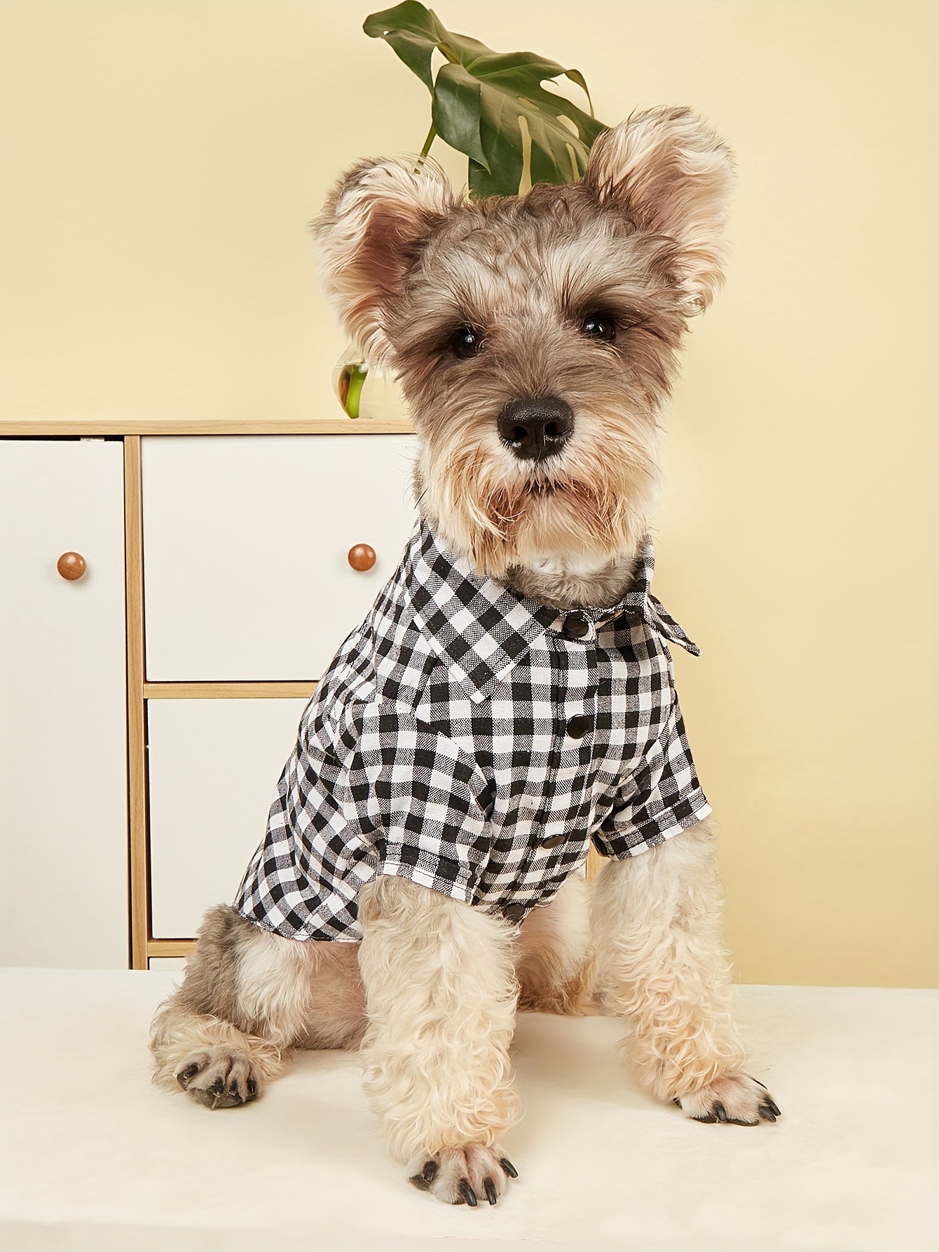 1pc Pet Clothes, Dog Plaid Shirt, Pet Jacket, Puppy Coat, Pet Button Shirt