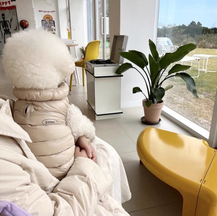Morandi Simple Warm Dog Vest Autumn/Winter Thickened Teddy Bichon Bear Small Dog Cat Pet Clothes