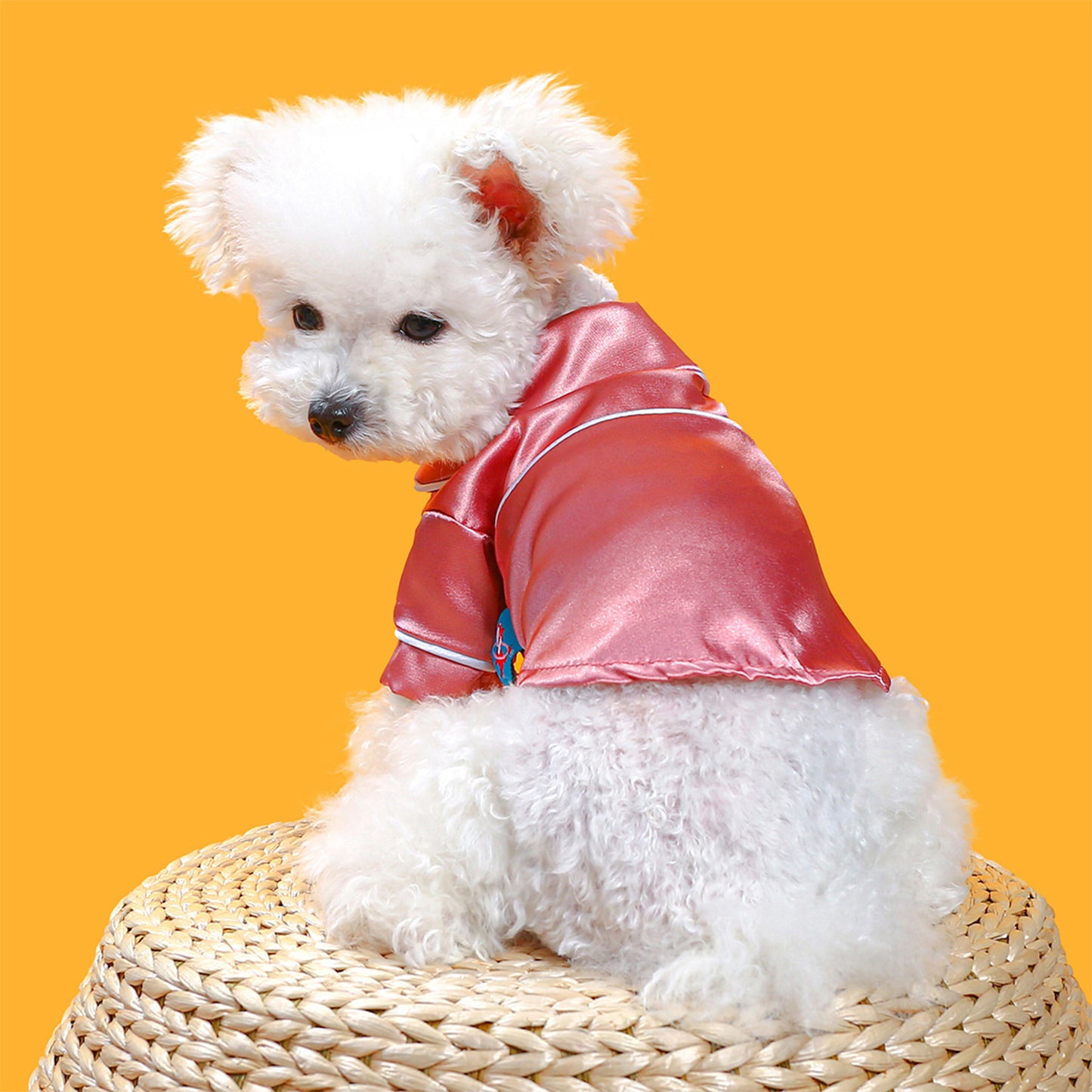 Dog Pajama Contrast Trim Snap On Cat Pajamas Pet Pjs Pet Clothes for Small Dog Cats