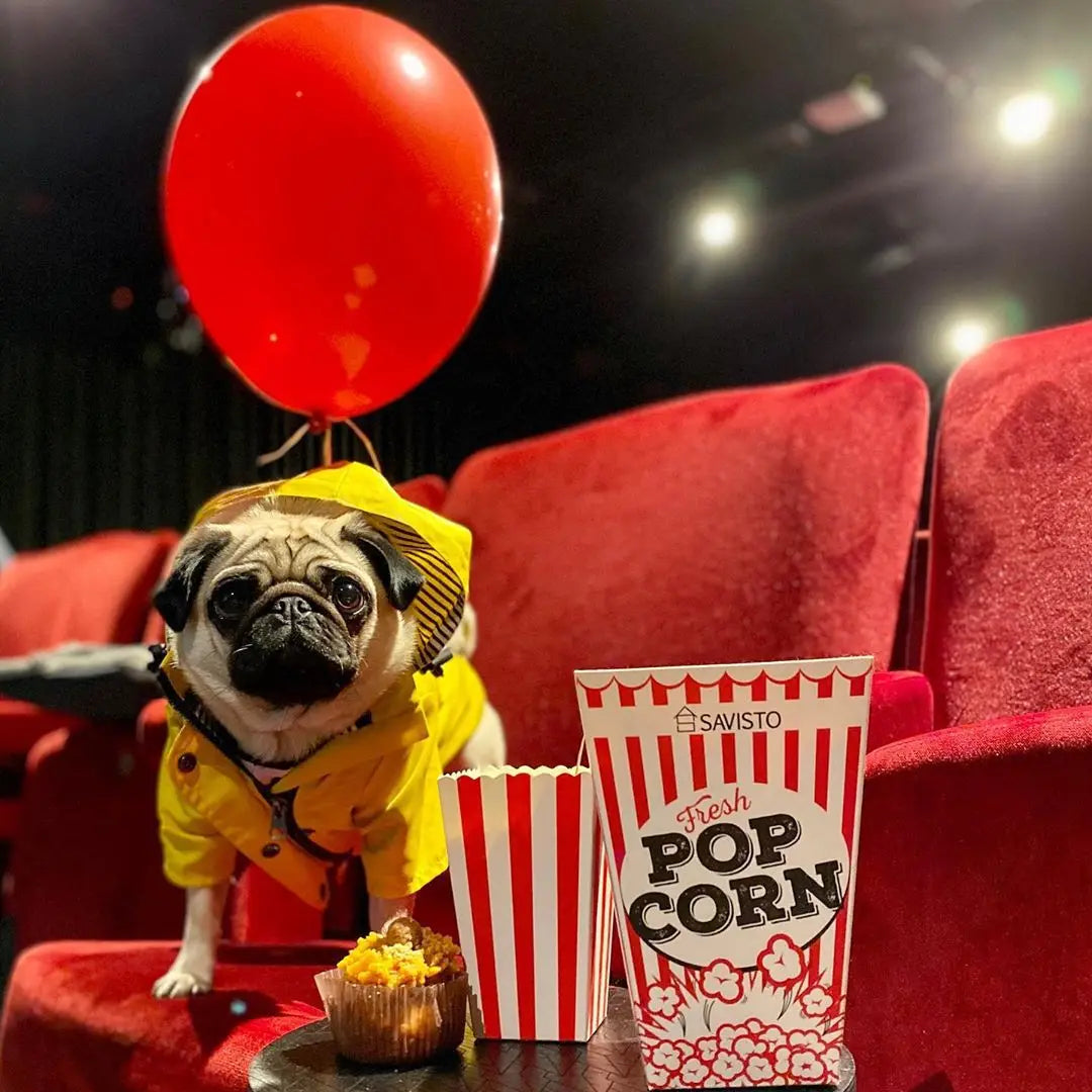 Pet Dog Clothes for Small Medium Dogs Waterproof Puppy Raincoat Fashion Cool Dog Jacket Coat Windproof Dogs Outfit Pet Supplie