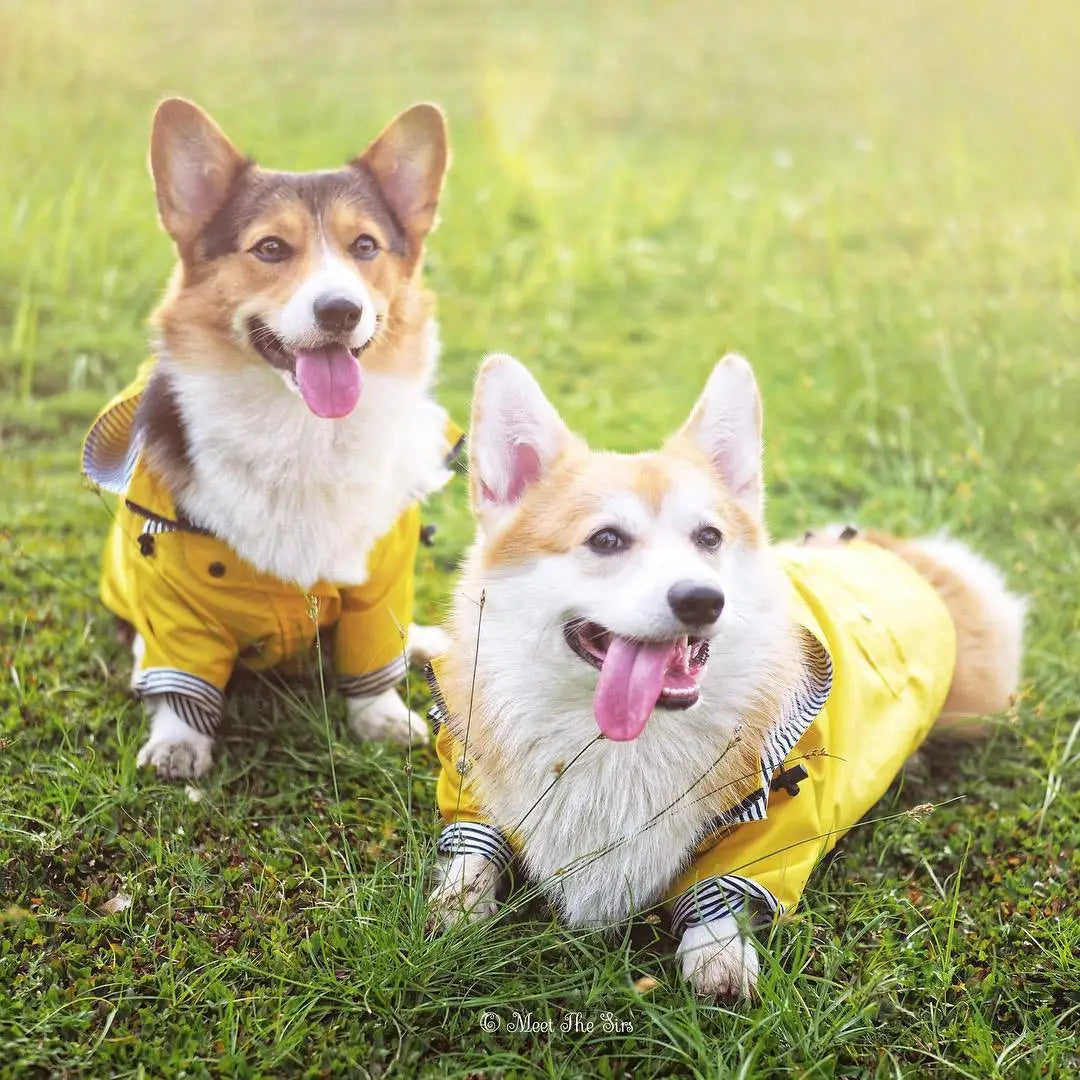 Pet Dog Clothes for Small Medium Dogs Waterproof Puppy Raincoat Fashion Cool Dog Jacket Coat Windproof Dogs Outfit Pet Supplie