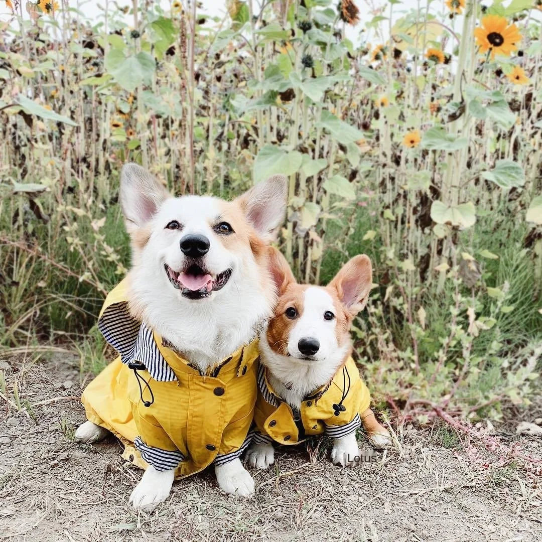 Pet Dog Clothes for Small Medium Dogs Waterproof Puppy Raincoat Fashion Cool Dog Jacket Coat Windproof Dogs Outfit Pet Supplie