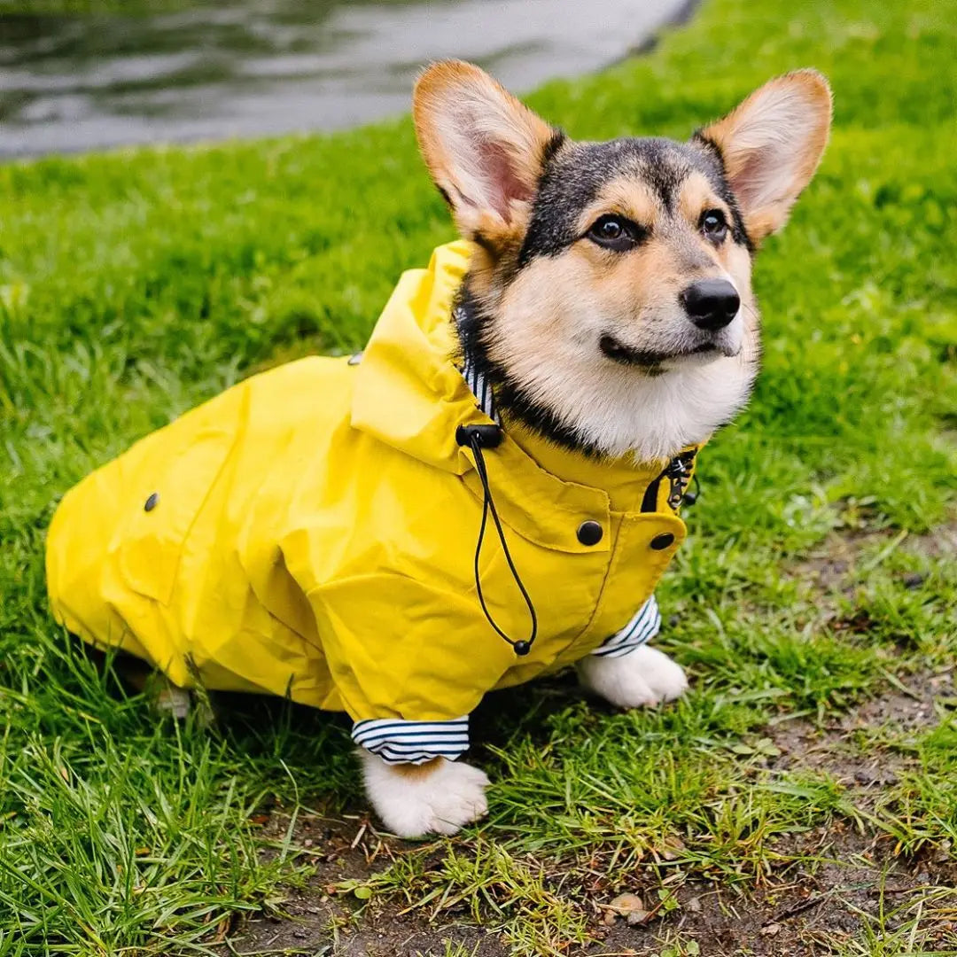 Pet Dog Clothes for Small Medium Dogs Waterproof Puppy Raincoat Fashion Cool Dog Jacket Coat Windproof Dogs Outfit Pet Supplie