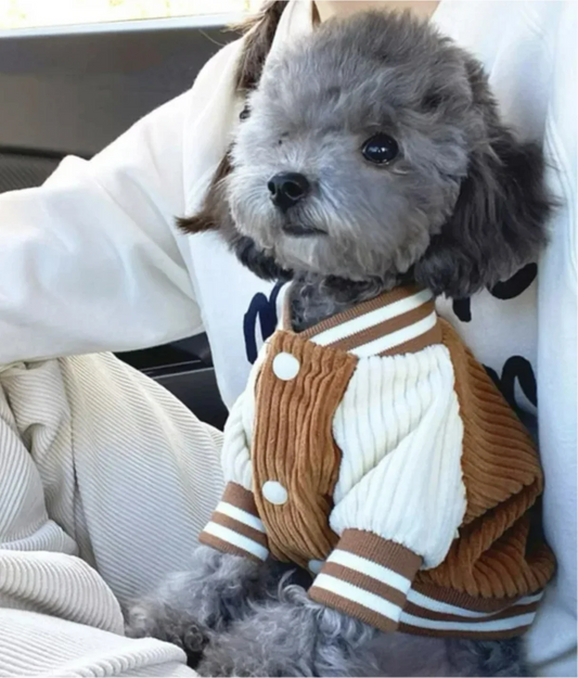 Cute Embroidered Pet Baseball Jackets Dog Clothes For Small Medium Cat Teddy Coat Puppy Spring Clothes Warm Fashion Pet Outfit