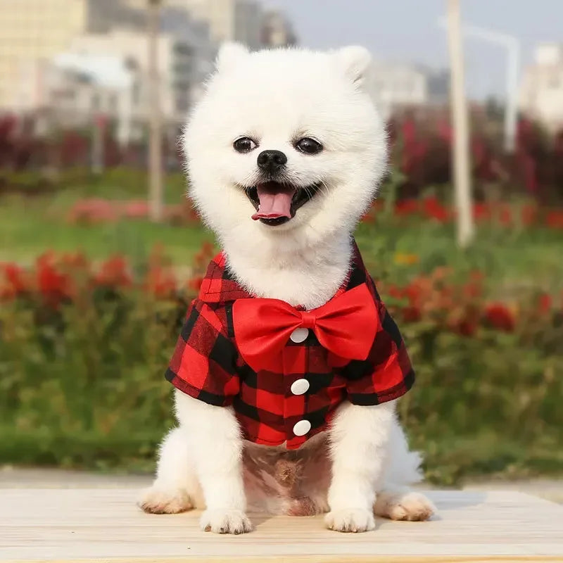Pet Clothes Dogs Plaid Striped Shirt Suit Wedding Dress Puppy Coat Teddy Bear Pomeranian Vest Small-Medium Dog Cat Pet Costume