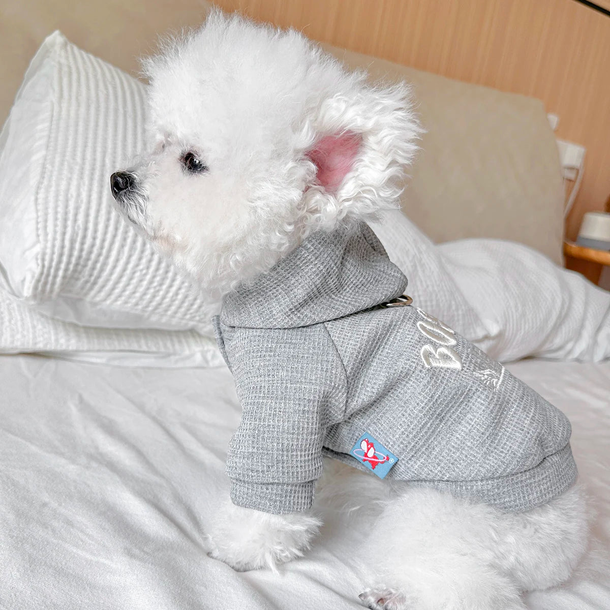 Pet Clothes Dog Cat Out Handsome Cute Casual Comfortable Spring Gray American Boston Sweater