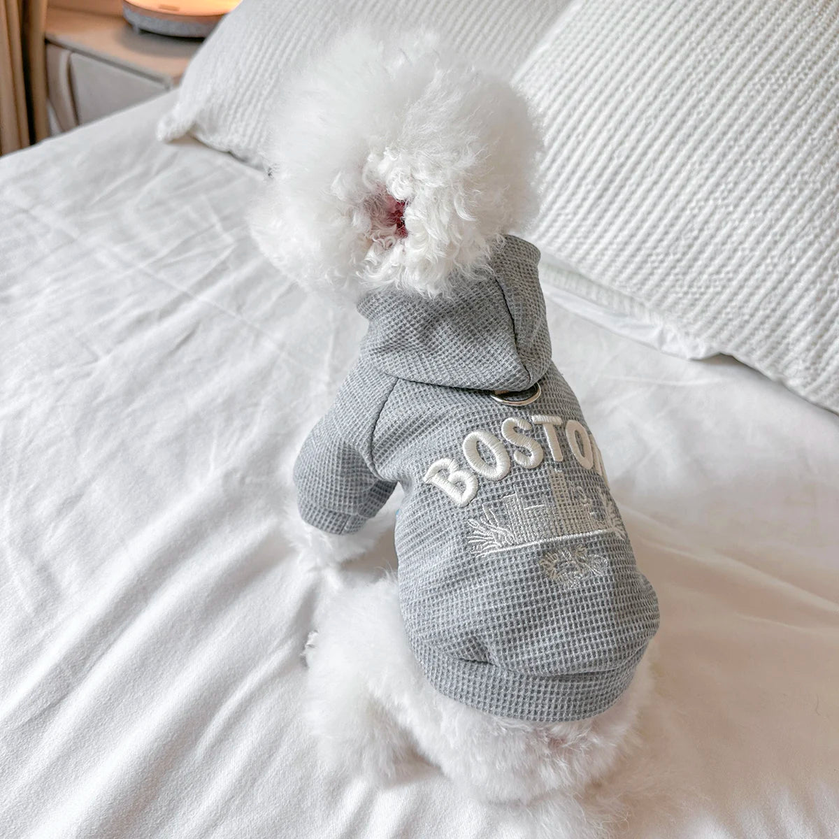 Pet Clothes Dog Cat Out Handsome Cute Casual Comfortable Spring Gray American Boston Sweater