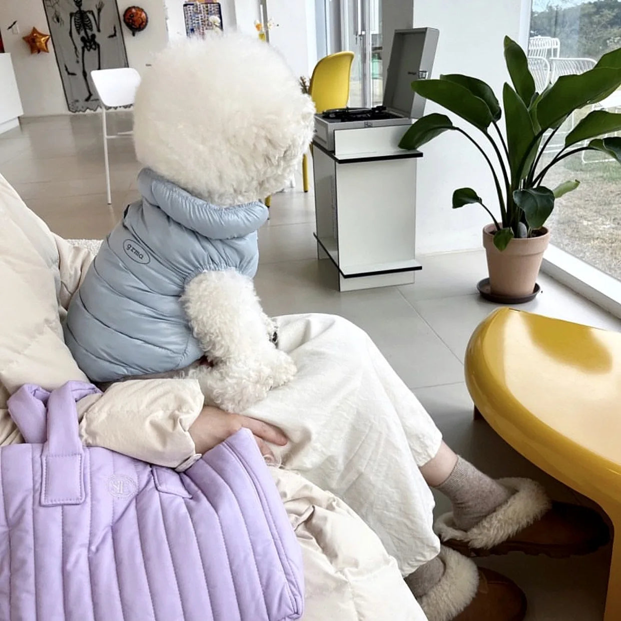 Pet Dog Cotton Clothes Warm Soft Cat Coat Fashion Jacket Winter Clothes Chihuahua Bichon Teddy Puppy Christmas Pet Warm Clothes