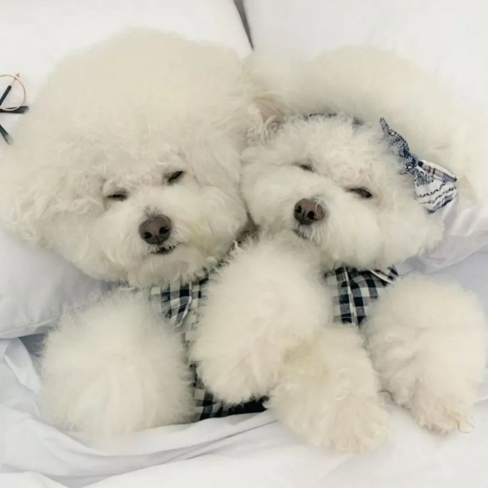 Pet Decoration Comfortable Ins Plaid Shirts Pet Clothing Elegant Cute Dogs Pajamas Fashion Costume Cat Dog Clothes Proposal