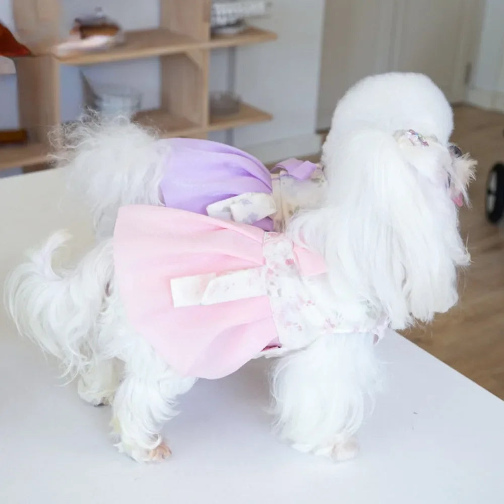 Pet Clothing Dog Dresses Pet Dress Clothing Pet Cat Dog Teddy Dress Fashion for Small Dogs Puppy Clothes Dog Clothes Designer