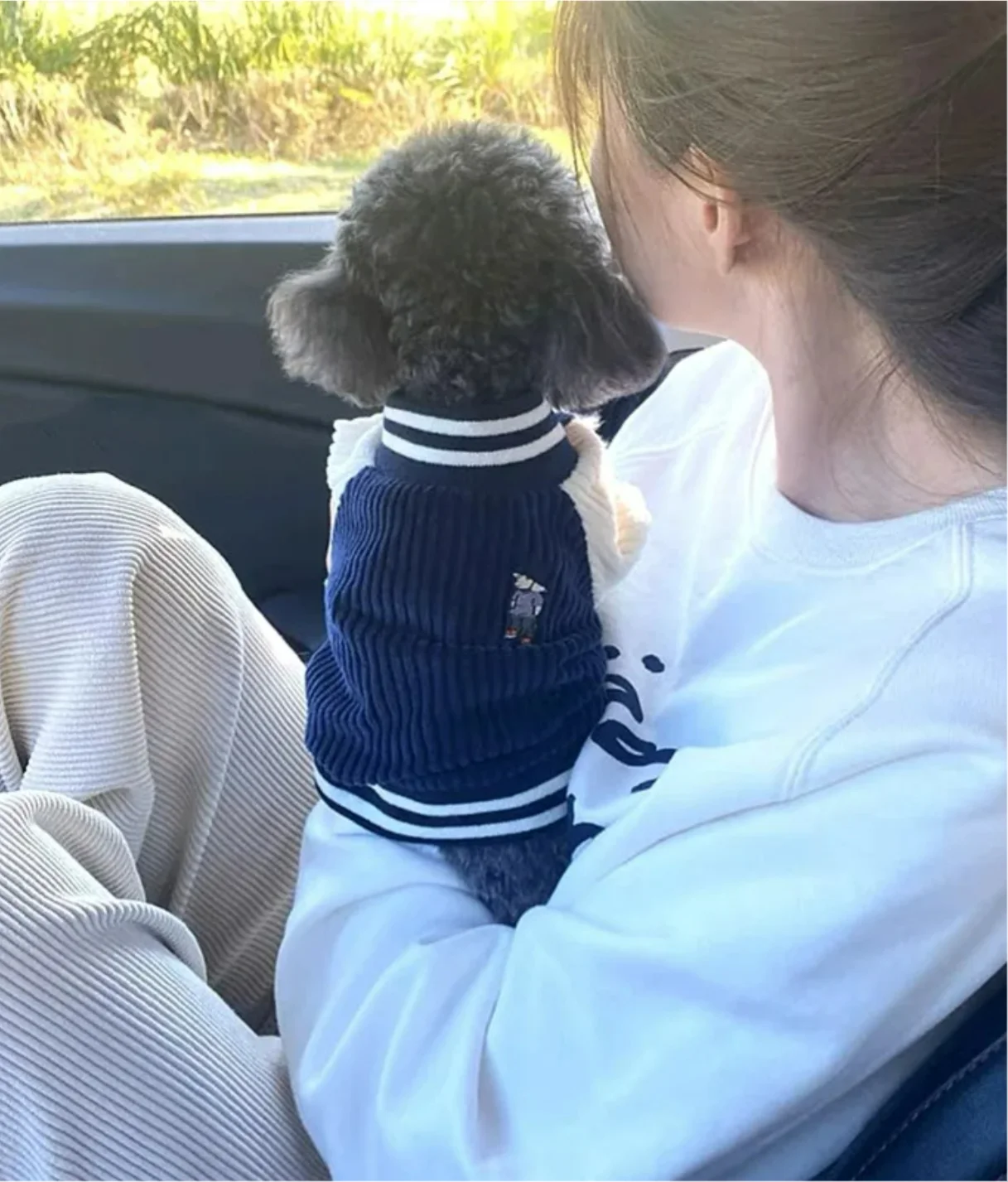 Cute Embroidered Pet Baseball Jackets Dog Clothes For Small Medium Cat Teddy Coat Puppy Spring Clothes Warm Fashion Pet Outfit