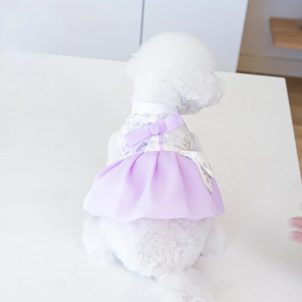Pet Clothing Dog Dresses Pet Dress Clothing Pet Cat Dog Teddy Dress Fashion for Small Dogs Puppy Clothes Dog Clothes Designer