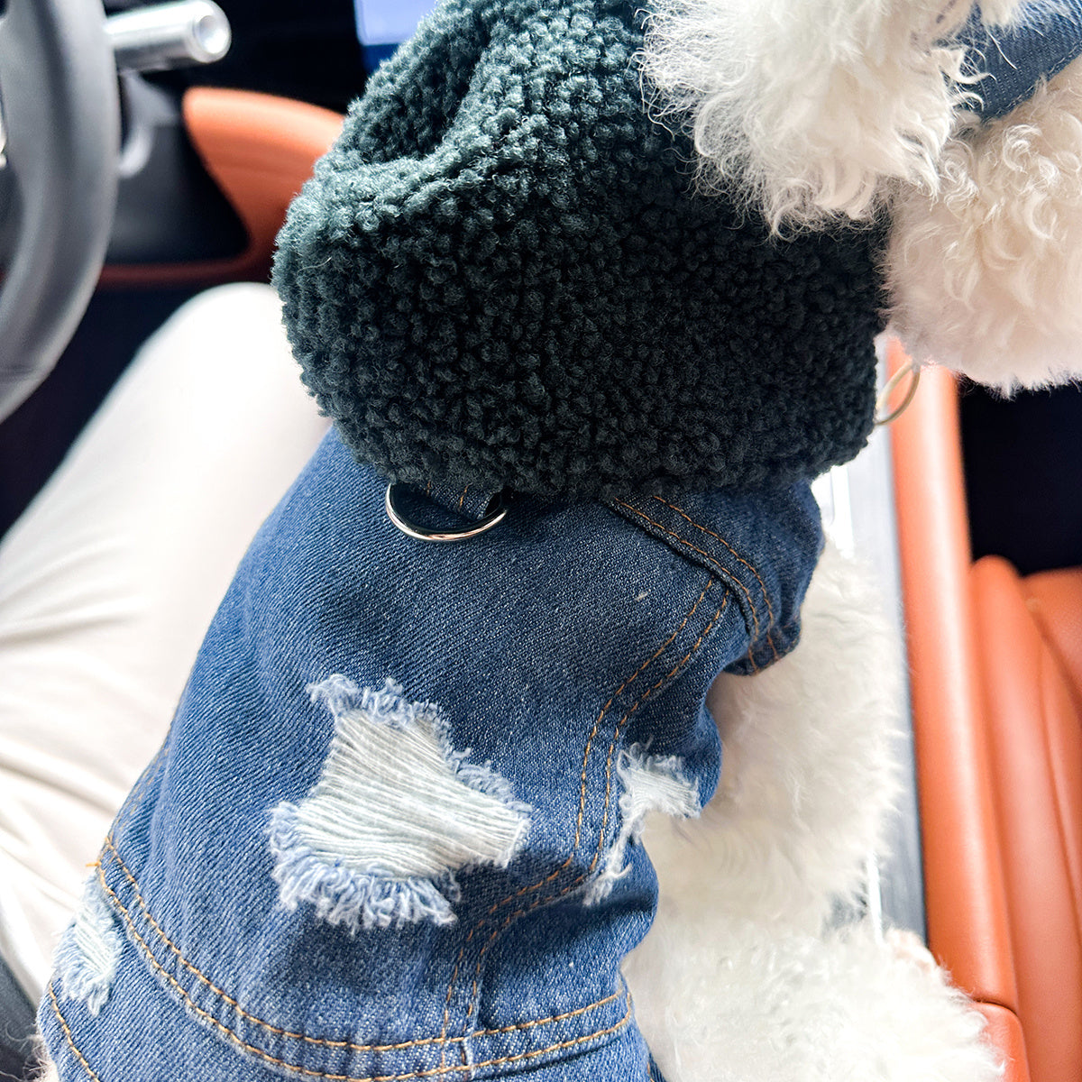 Pet Clothes for Dogs and Cats - Stylish, Comfortable, Easy-to-Wear Snap-On Outfit with Green Hat & White Fashion Glasses for Small Puppies and Kittens, Perfect for Outdoor Adventures, Car Dashboard Accessorie, Car Accessorie