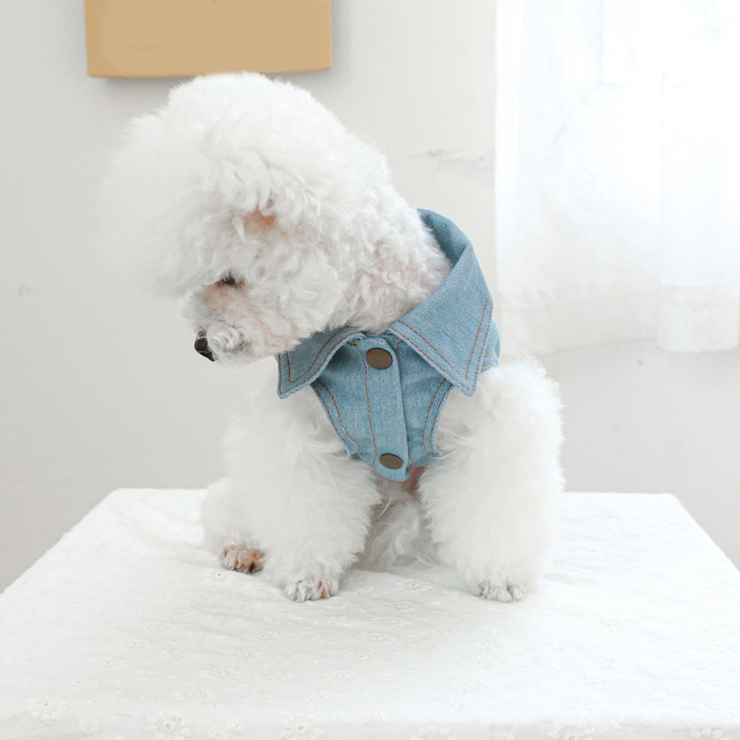 Denim Dog Jacket with Letter and Star Design, Jean Vest Style Pet Clothes for Small Dogs and Cats, Polyester, Pullover, Pet Clothes, D-Ring