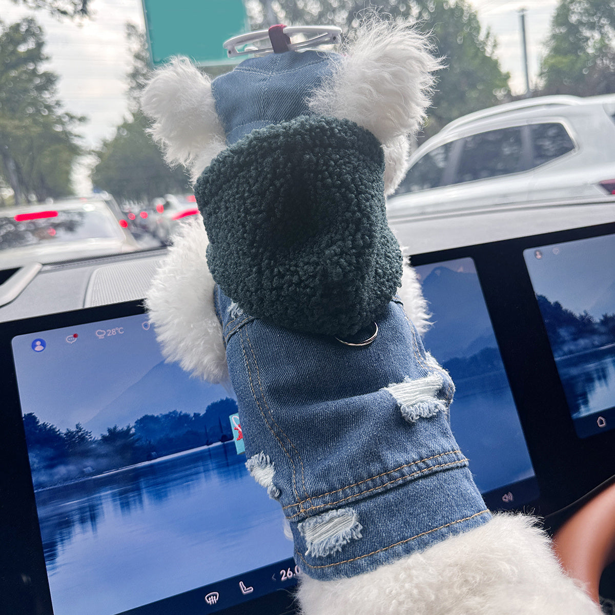 Pet Clothes for Dogs and Cats - Stylish, Comfortable, Easy-to-Wear Snap-On Outfit with Green Hat & White Fashion Glasses for Small Puppies and Kittens, Perfect for Outdoor Adventures, Car Dashboard Accessorie, Car Accessorie