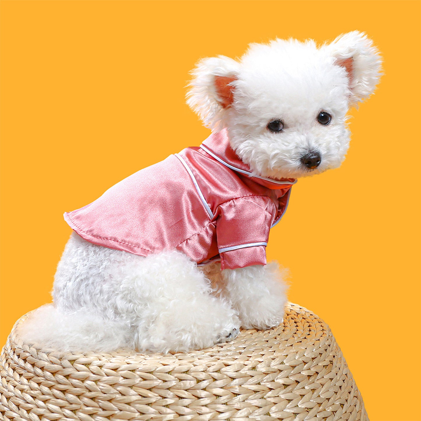 Dog Pajama Contrast Trim Snap On Cat Pajamas Pet Pjs Pet Clothes for Small Dog Cats
