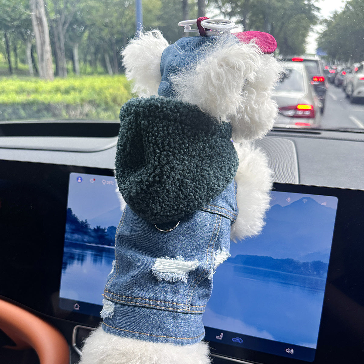 Pet Clothes for Dogs and Cats - Stylish, Comfortable, Easy-to-Wear Snap-On Outfit with Green Hat & White Fashion Glasses for Small Puppies and Kittens, Perfect for Outdoor Adventures, Car Dashboard Accessorie, Car Accessorie