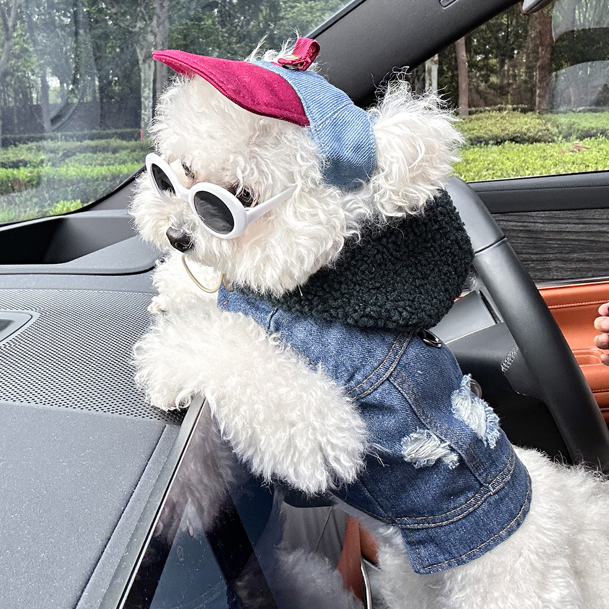 Pet Clothes for Dogs and Cats - Stylish, Comfortable, Easy-to-Wear Snap-On Outfit with Green Hat & White Fashion Glasses for Small Puppies and Kittens, Perfect for Outdoor Adventures, Car Dashboard Accessorie, Car Accessorie