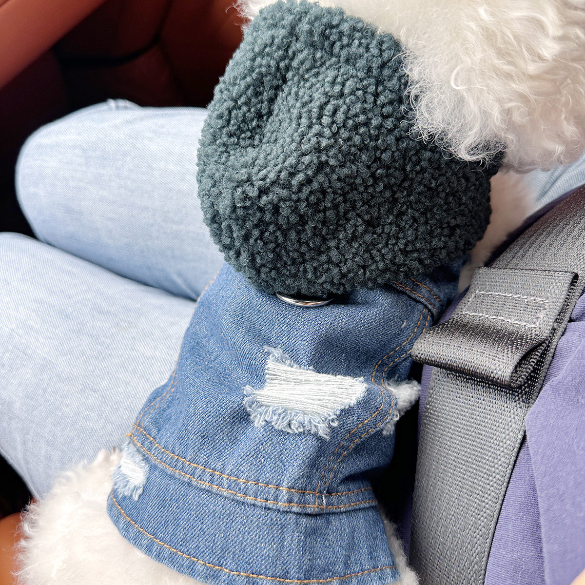 Pet Clothes for Dogs and Cats - Stylish, Comfortable, Easy-to-Wear Snap-On Outfit with Green Hat & White Fashion Glasses for Small Puppies and Kittens, Perfect for Outdoor Adventures, Car Dashboard Accessorie, Car Accessorie